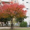 あっという間に