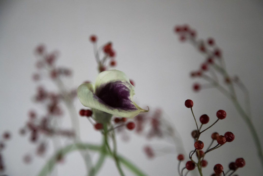 玄関に飾られて