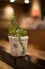 植木鉢