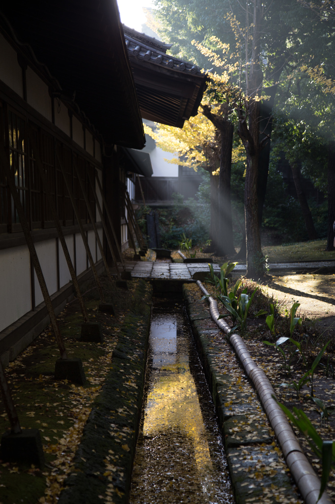 白い壁　その１