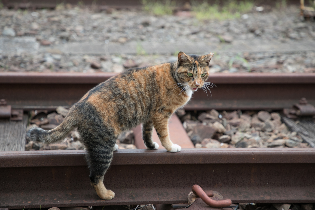 浜川崎駅