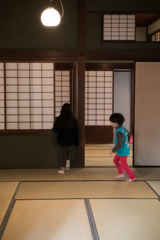 ぱたぱたぱた・・・その１