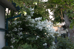 素敵なお庭でした