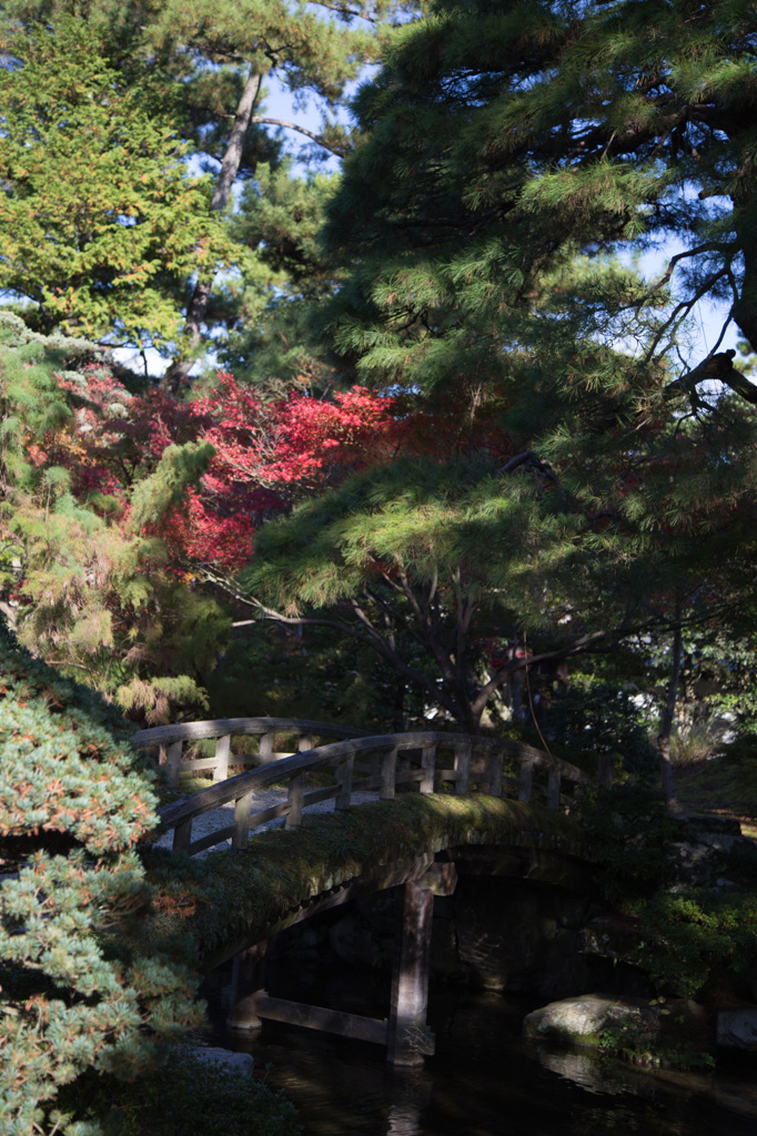一部紅葉