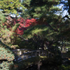 一部紅葉