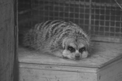 視線あいました　その７