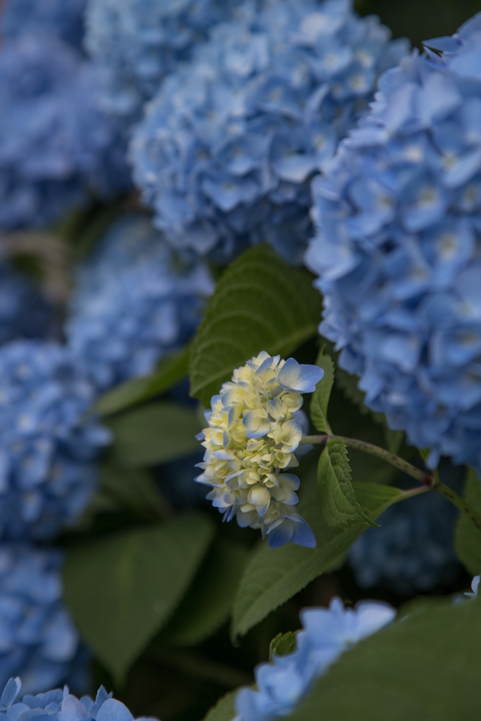 私はこれから　その２