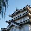 忍城