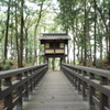 城跡公園