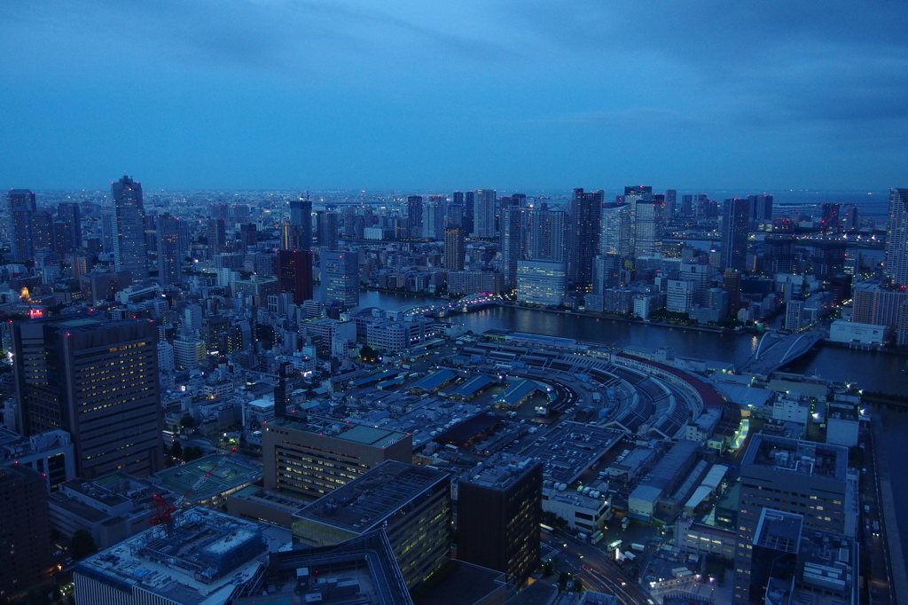 カレッタ汐留の夕景