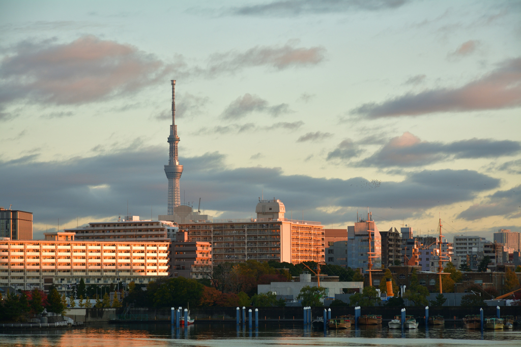 夕暮れの街に溶け込むスカイツリー