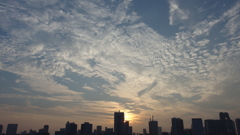 暮れなずむ夕日を背にしたビル群