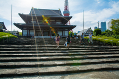 光まばゆい増上寺