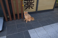 待機