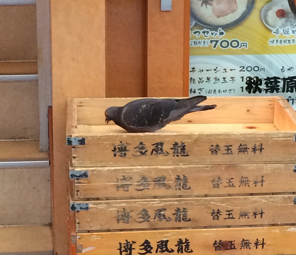 ほら食ってた（笑）