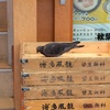 ほら食ってた（笑）