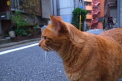 横顔