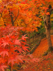 長慶寺　五百羅漢