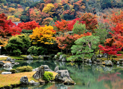 京都・天龍寺...hito..