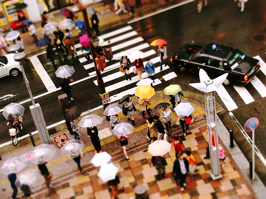 umbrella