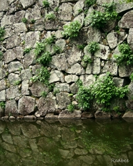stone wall