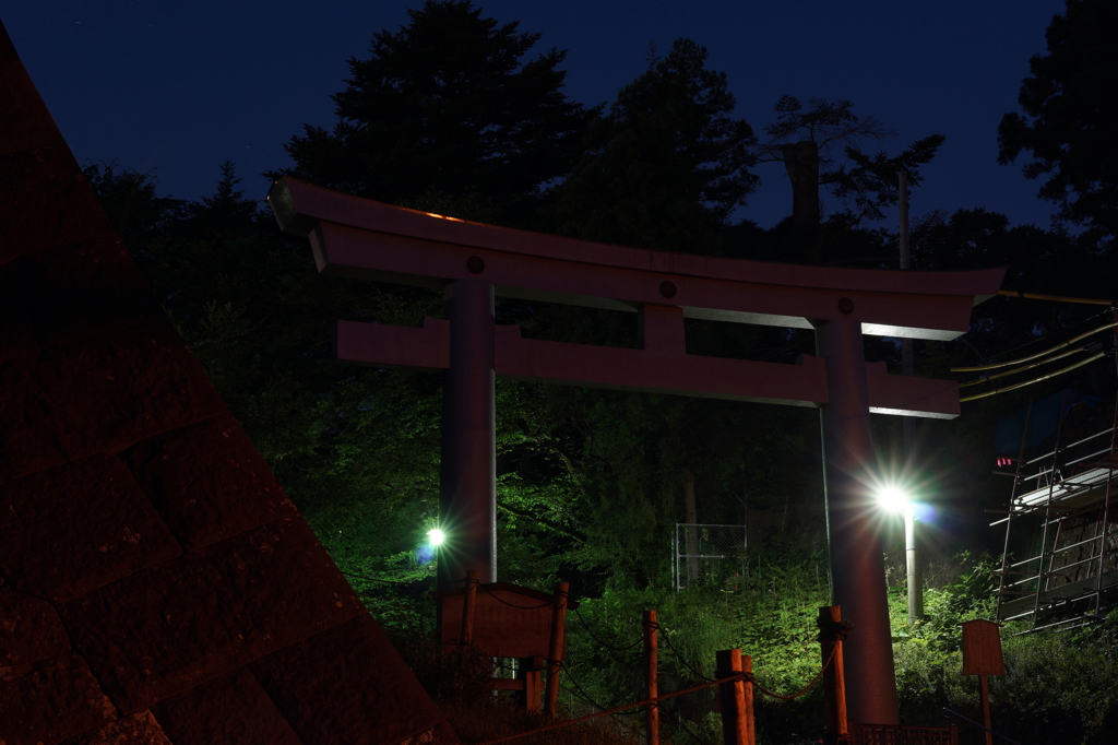 夜の鳥居