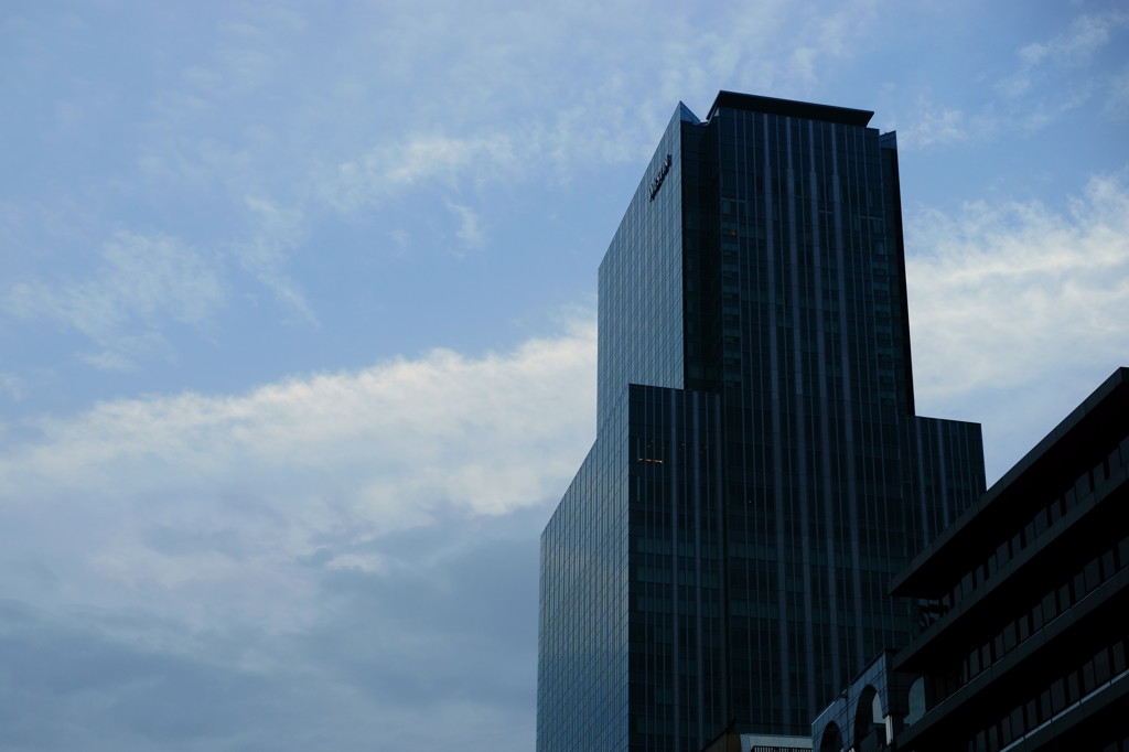 朝