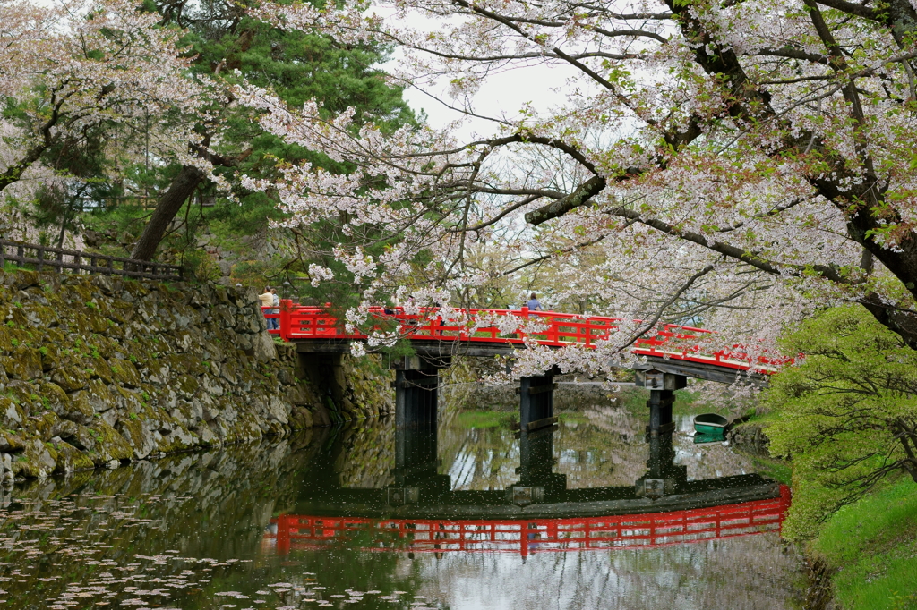 葉桜