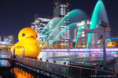 ラバーダック in OSAKA！！