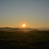 美瑛の丘から見る朝日