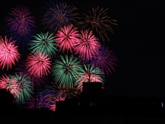 たまがわ花火大会　0546