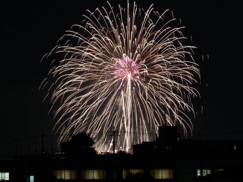 たまがわ花火大会　0610