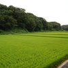 田園風景