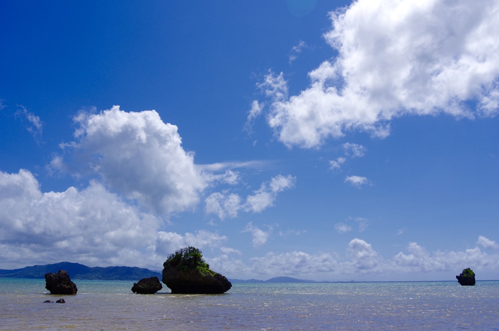 無人島（極小）