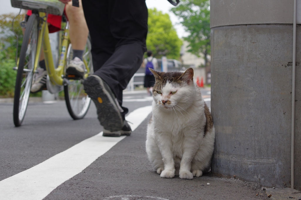 我が街　その１