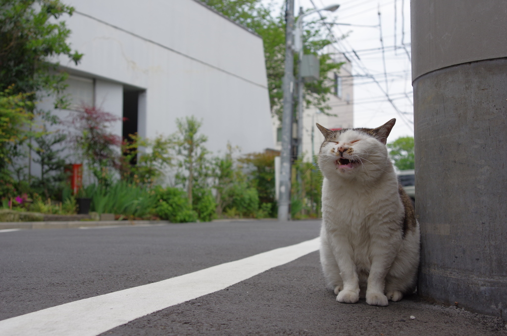 我が街　その２