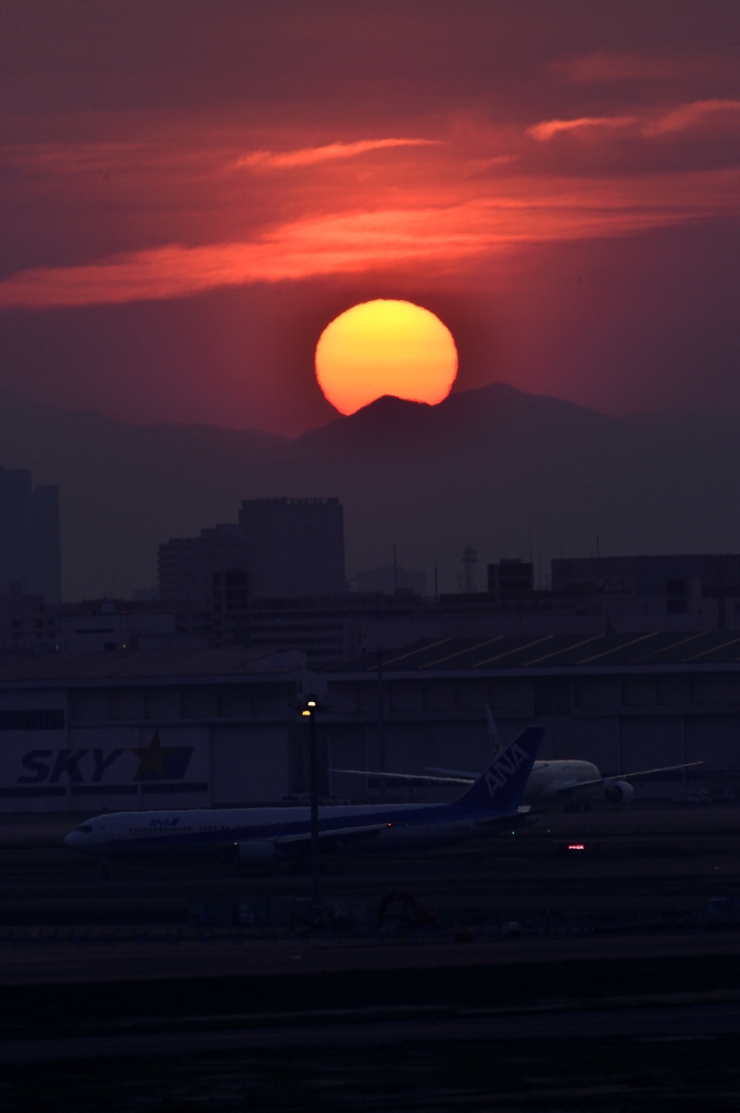 斜陽