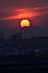 斜陽