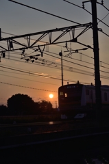 日に染まる