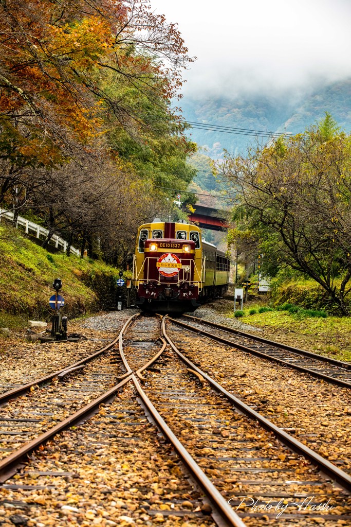 秋の渡良瀬鉄道