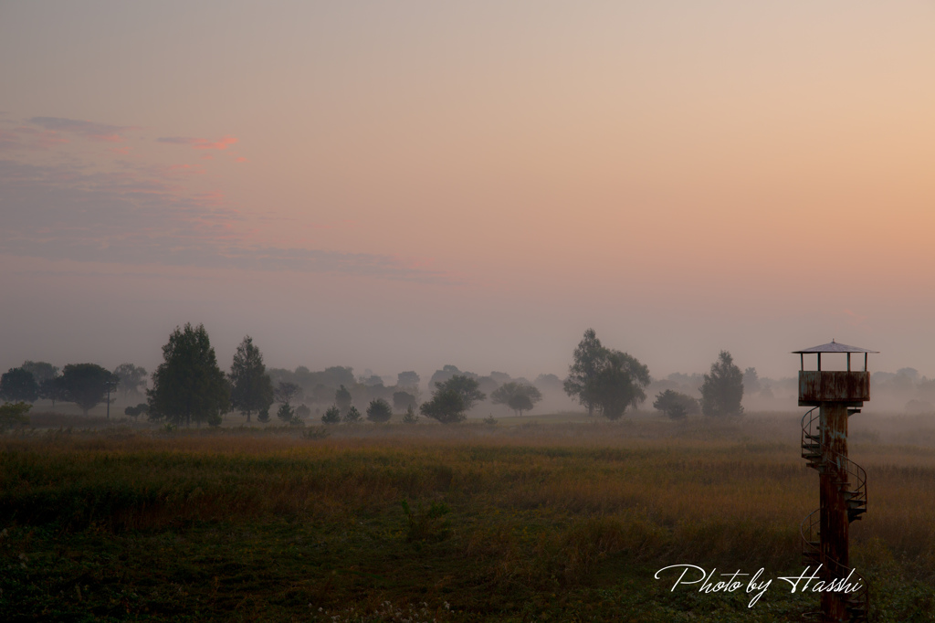 渡良瀬朝景（草黄葉）