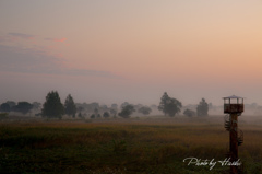 渡良瀬朝景（草黄葉）