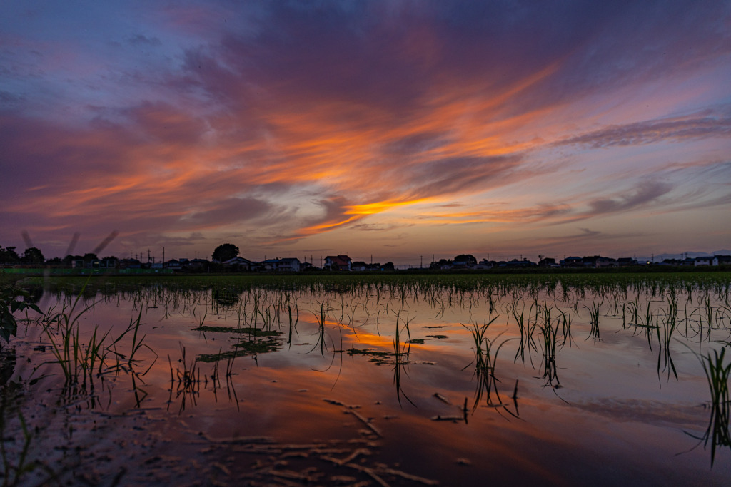 夕焼け