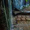 信州滝巡り・白糸の滝2