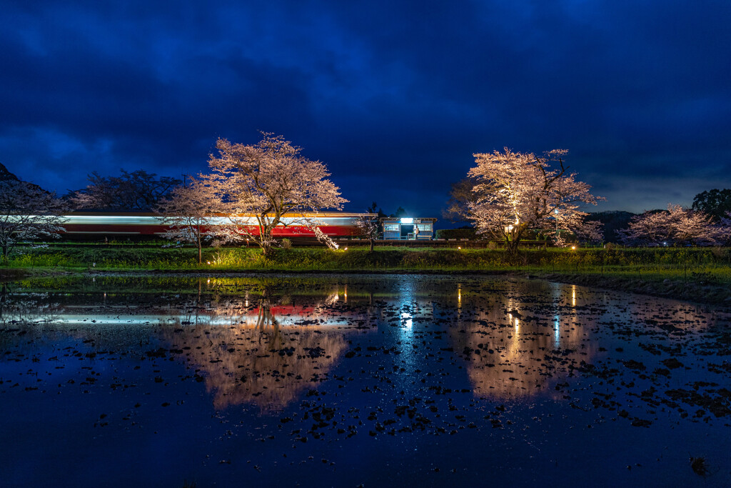 いたぶの桜景