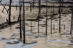 自然湖冬景色4
