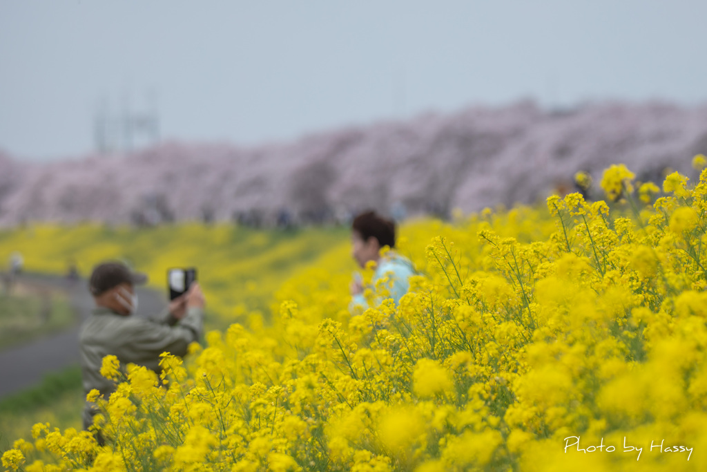 ふたりの時間