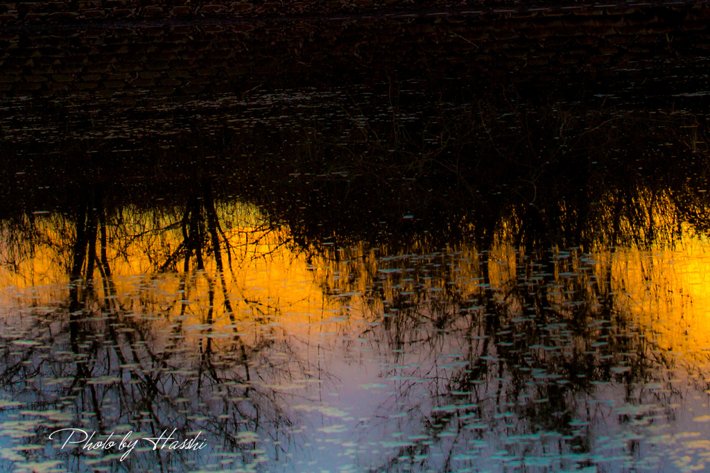 渡良瀬百景11（水面の夕景）