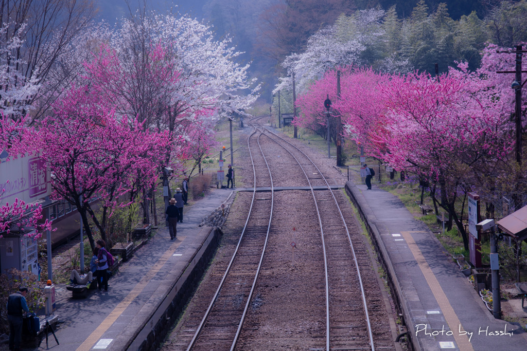 花満開の神戸駅