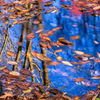 秋の風布川